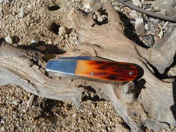 DSCF9502.JPG