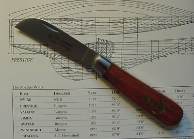 otter_messer.jpg
