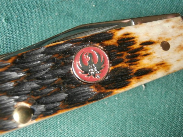 Ruger shield.JPG