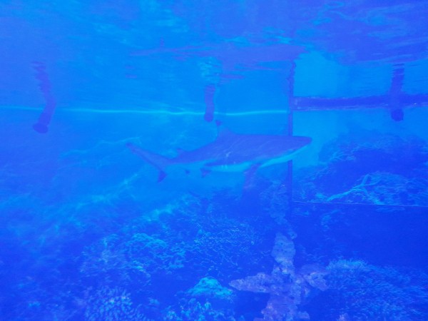 20241006_122719.jpg