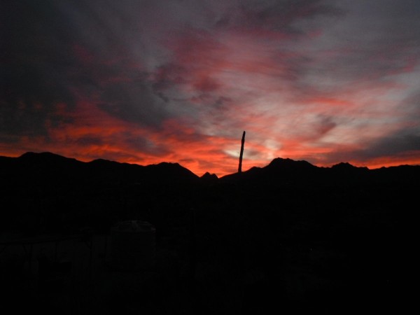 DSCF9770.JPG