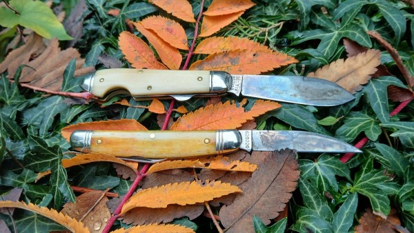 Northfields, 85 bullet EZO - 62 EZ Congress
