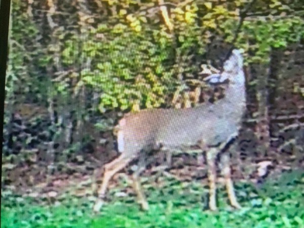 IMG_2820.jpeg