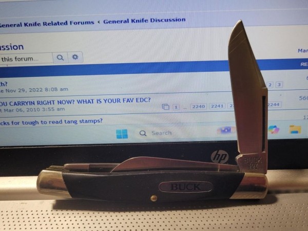 Buck 307.jpg