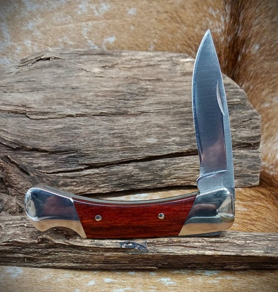 Buck500.jpg