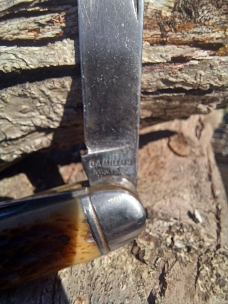 20241119_093755.jpg
