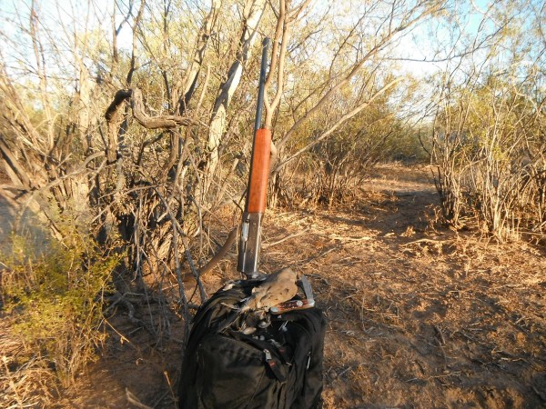 DSCF9900.JPG