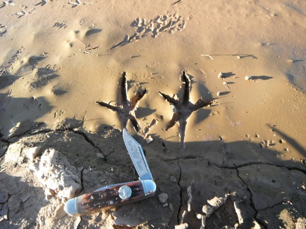 DSCF9895.JPG
