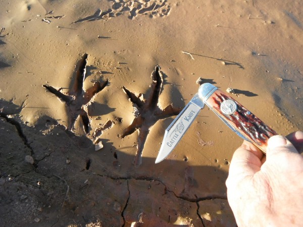DSCF9896.JPG