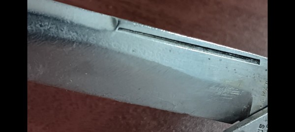1000031247.jpg