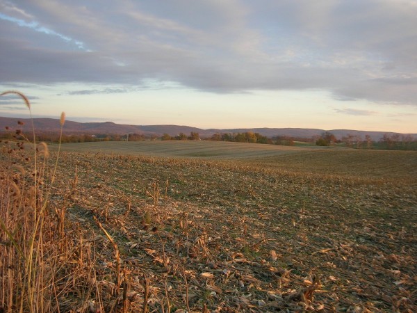 DSCN0739 re.jpg