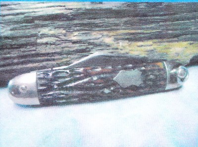 IMG.jpg