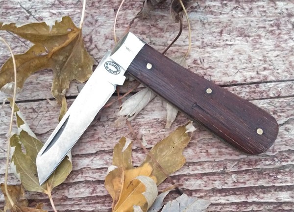 KIMG1725~2.JPG