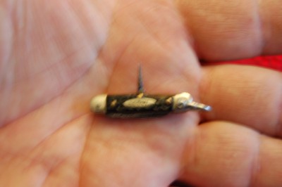 mini 009.jpg