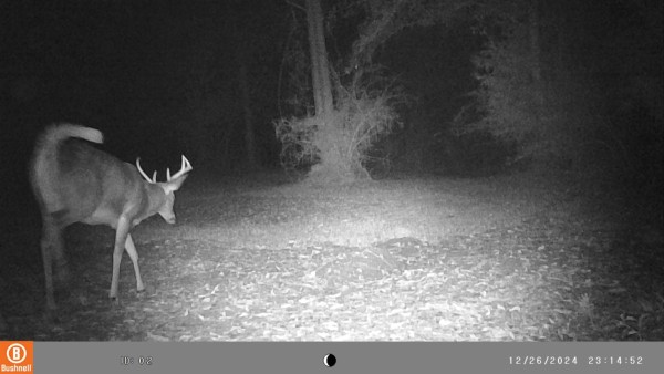 I'd shoot at this one  too!