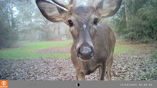 Hello, I don't remember this camera being here last week.