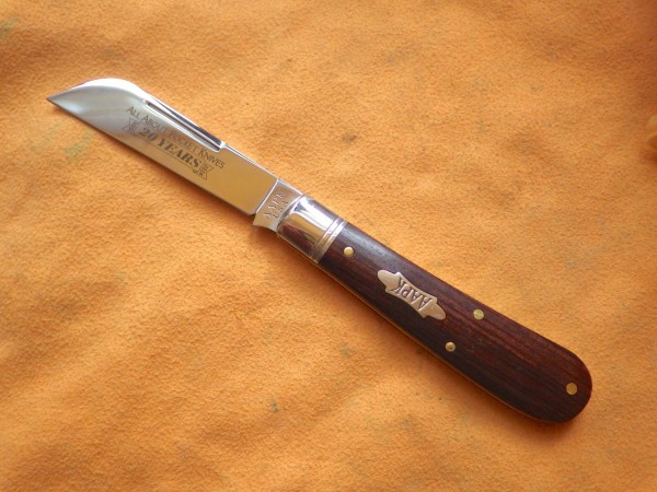 RIMG3511.JPG