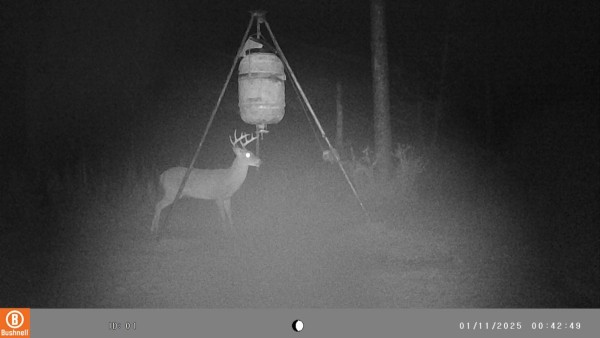 Unusual to catch a 10 point messing with a feeder. He is one I like to examine a little closer, like maybe an autopsy.