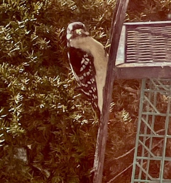 image8.jpeg