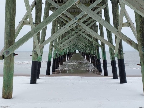 IMG_8907.jpeg