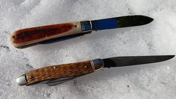 1000021641.jpg