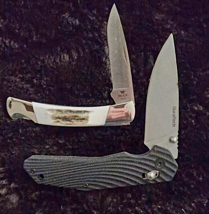 1000010631.jpg
