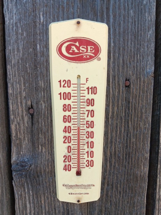 1000034120.jpg