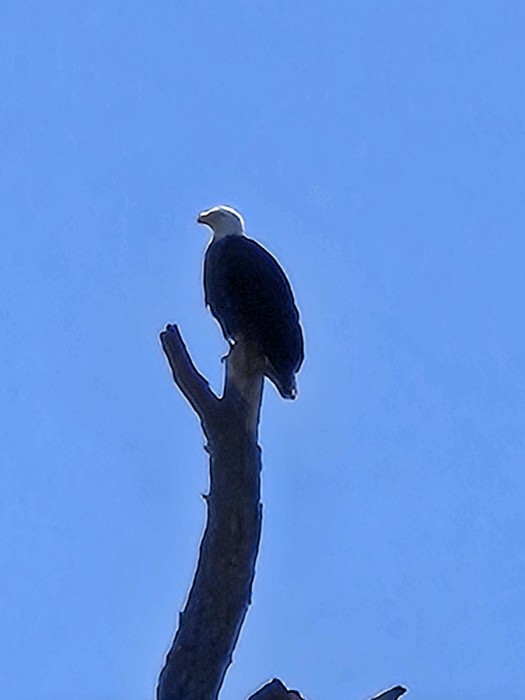 20250226_120118.jpg