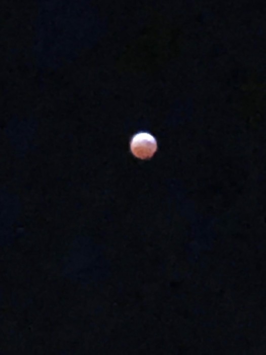 IMG_1219.jpeg