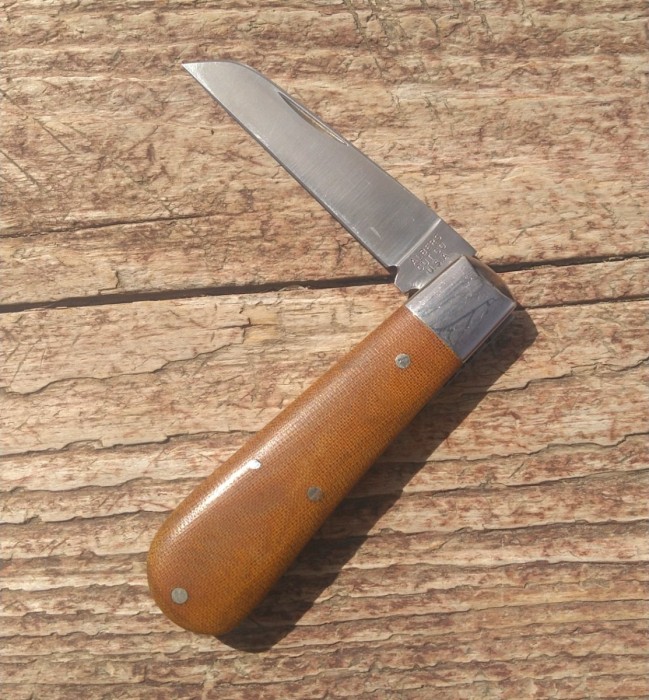 KIMG6244~2.JPG