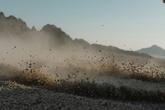 IMG_7273.jpeg