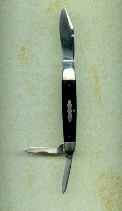 Ulster big whittler (3).jpg