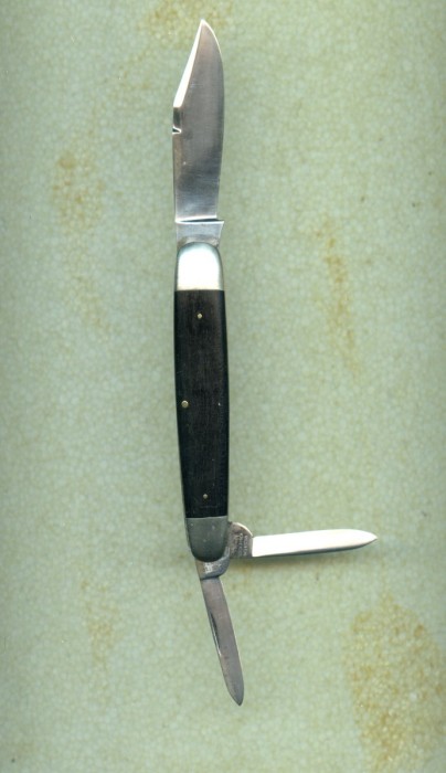 Ulster big whittler (4).jpg