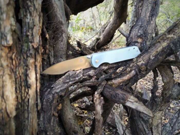 QSP Parrot on the trail.jpg