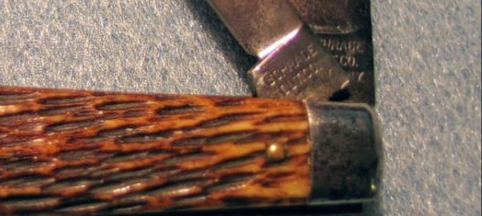 1000035188.jpg