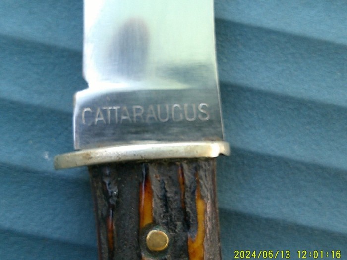 DSCF0590.JPG