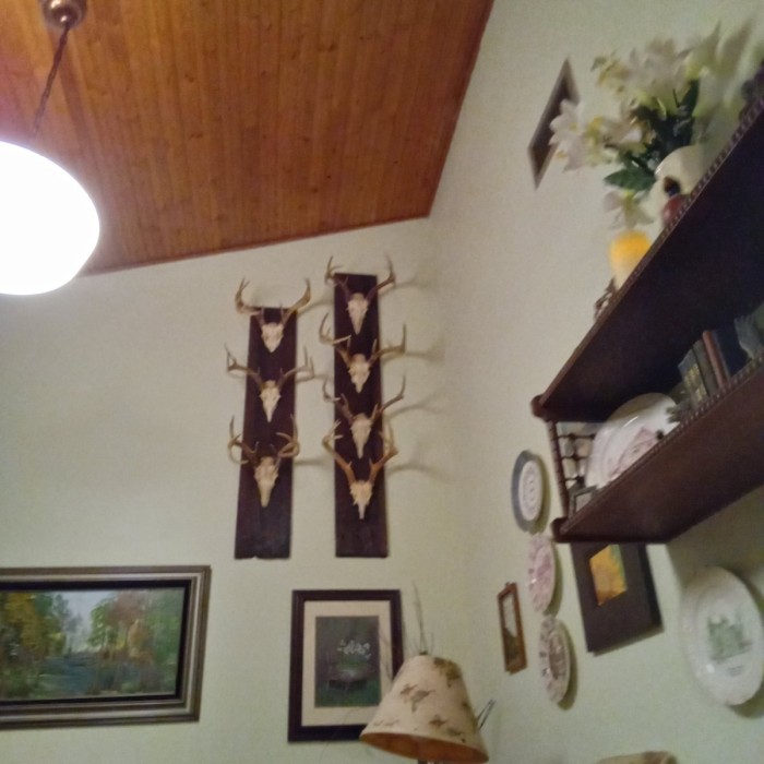 Antlers mounted on heart pine boards from an old house that had to be torn down.
