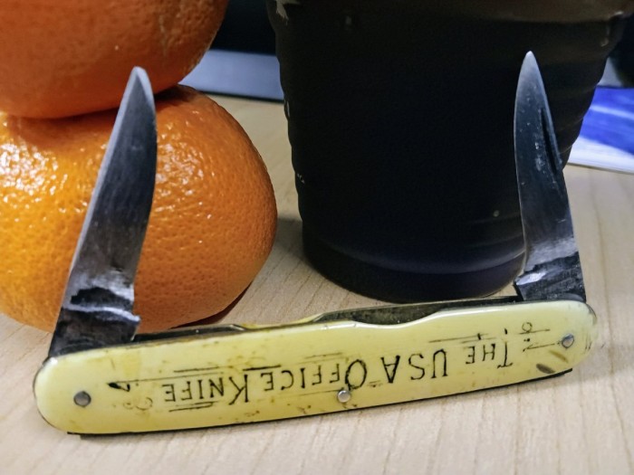 1000036397.jpg