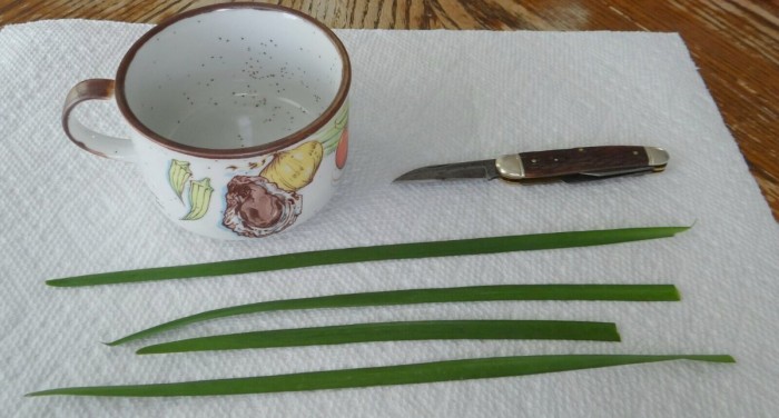 Garlic Chives