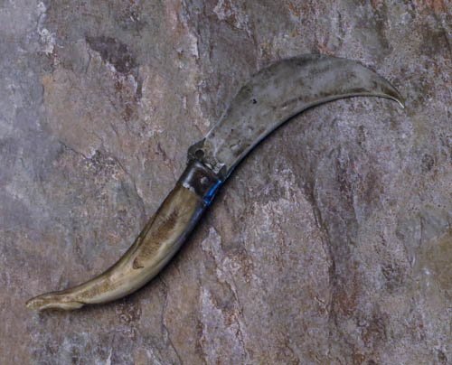 Pruning Knife 1-7.jpg