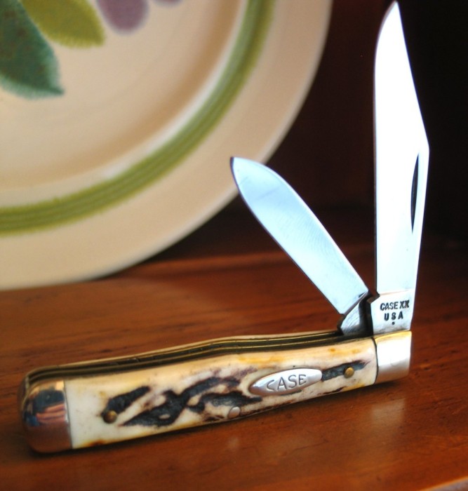 Case Stag 25 1.JPG