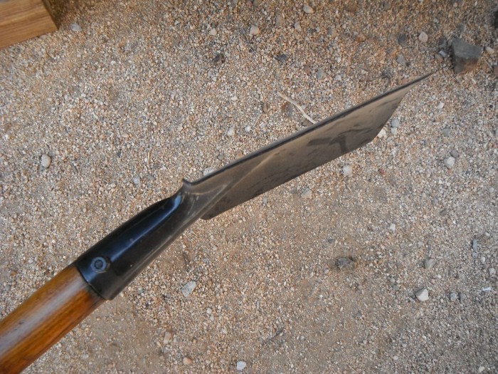 DSCF1006.JPG