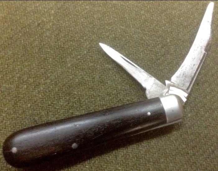 image.jpeg