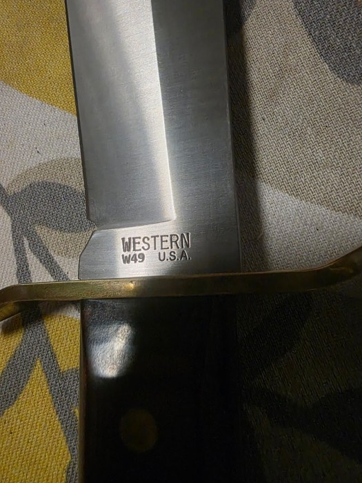 1000005551.jpg