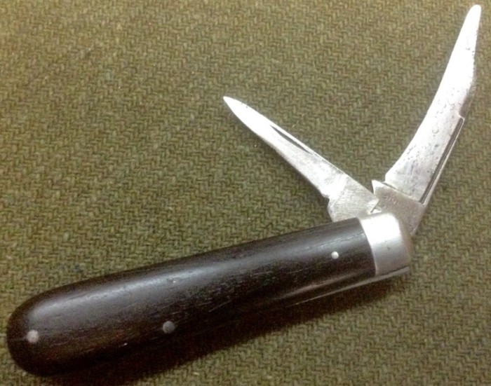 image.jpeg