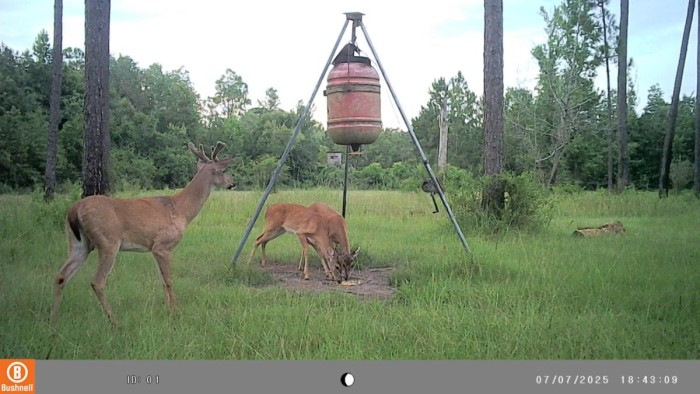 A good one watching last years babies.
