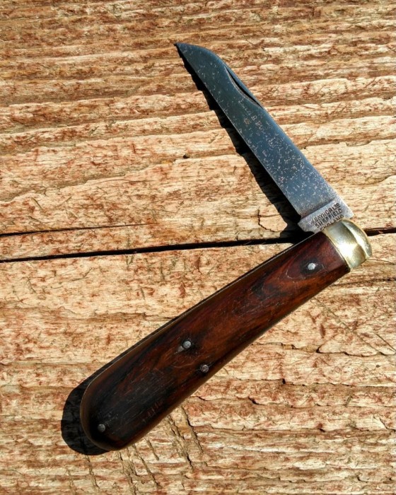 KIMG2578~2.JPG