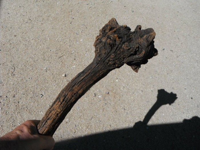DSCF1046.JPG