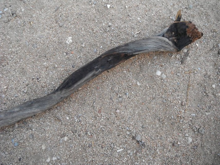 DSCF1051.JPG