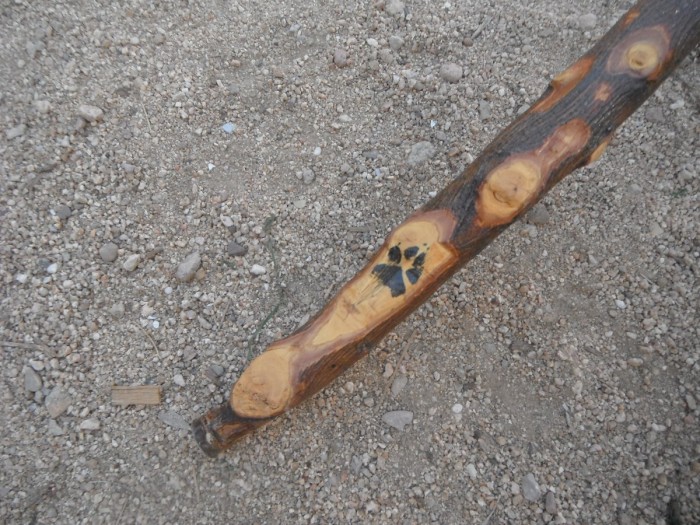 DSCF1055.JPG